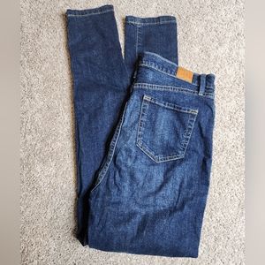 BDG Urban Outfitter UO Sz 29 Twig High Rise Skinny Jeans